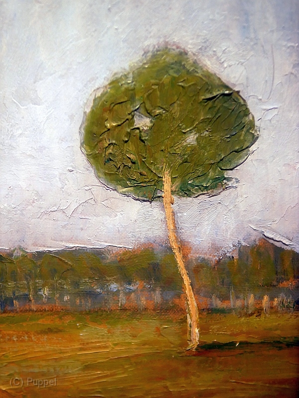 S P1540813.JPG